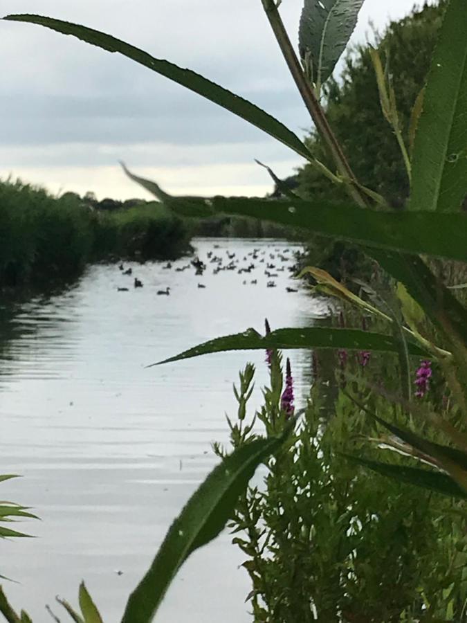 Iris'T; Dijkhuisje In De Polders Van Groede. Villa Ngoại thất bức ảnh
